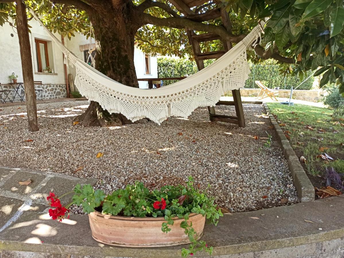 B&B Sole Mio Веллетри Экстерьер фото