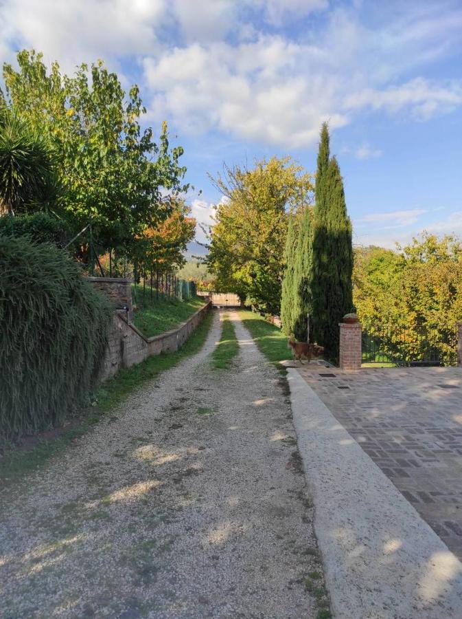 B&B Sole Mio Веллетри Экстерьер фото